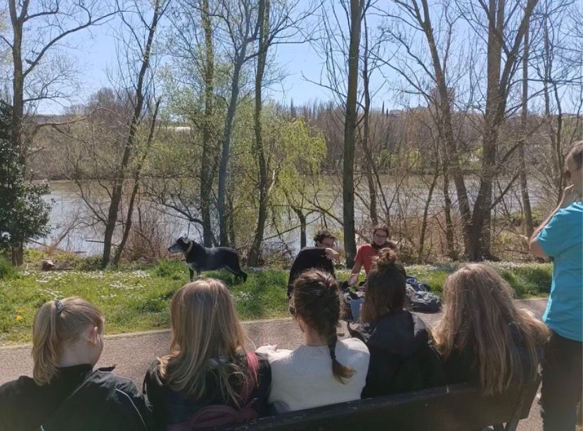 “Observación de aves”- birdwatching in Logroño